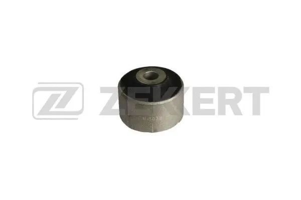 Mounting, control/trailing arm (GM-5038)