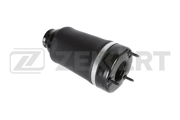 Air Spring, suspension (LD-1356)