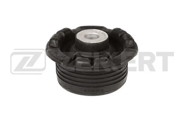 Bushing, axle beam (GM-6839)