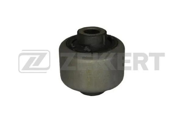 Mounting, control/trailing arm (GM-5202)