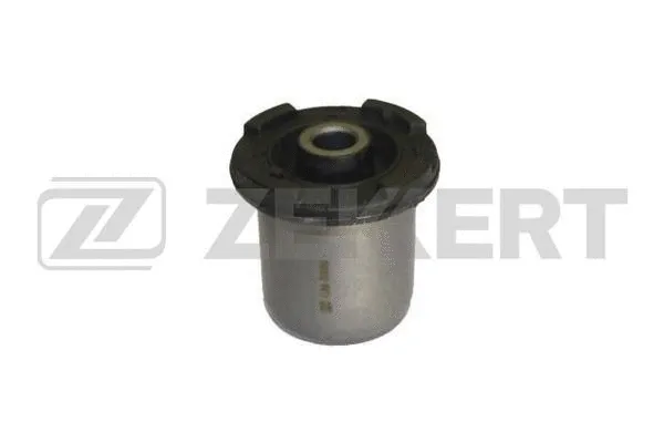 Mounting, control/trailing arm (GM-5096)
