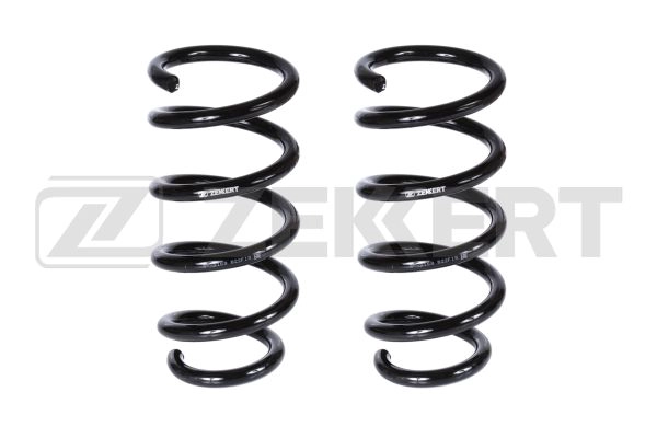 Suspension Spring (SF-2169)