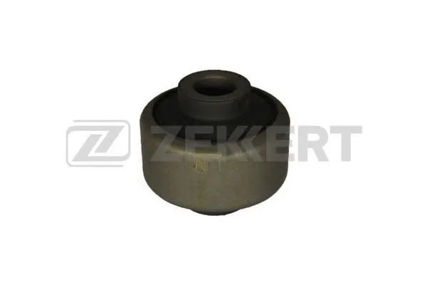 Mounting, control/trailing arm (GM-5015)