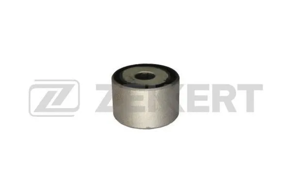 Bushing, axle beam (GM-5121)