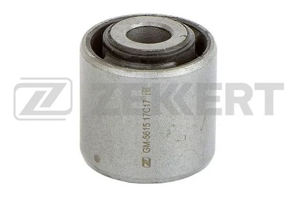 Mounting, control/trailing arm (GM-5615)