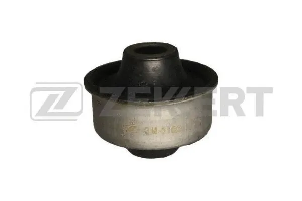 Mounting, control/trailing arm (GM-5165)