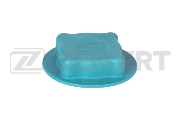 Cap, coolant tank (BD-2047)