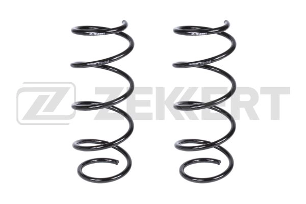 Suspension Spring (SF-2021)