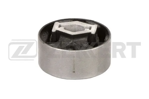 Mounting, control/trailing arm (GM-6829)