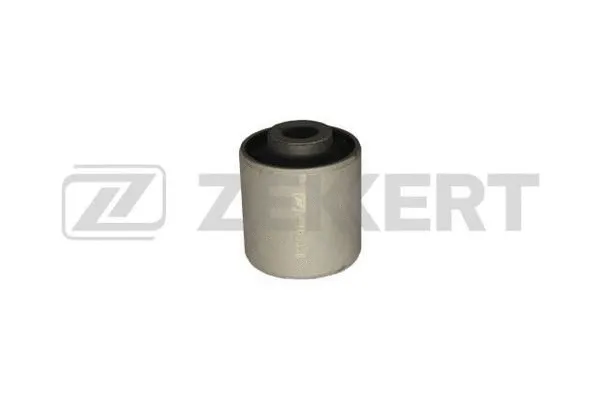Mounting, control/trailing arm (GM-5336)