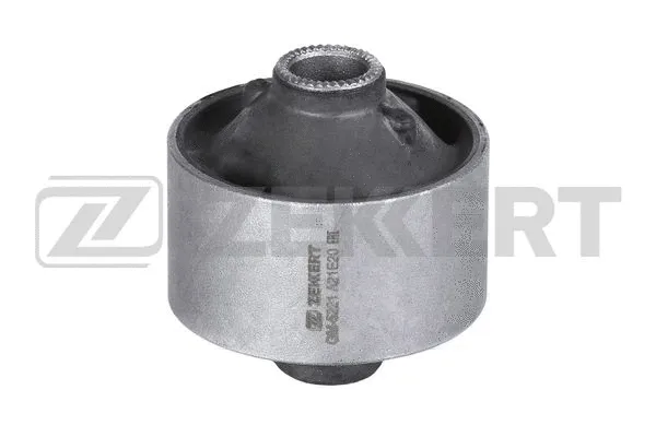 Mounting, control/trailing arm (GM-5221)
