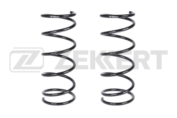 Suspension Spring (SF-2006)