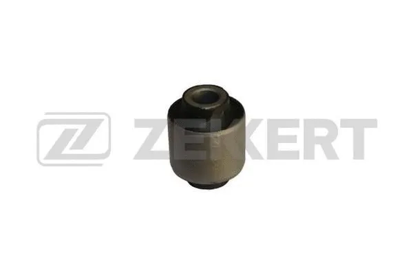 Mounting, control/trailing arm (GM-5534)