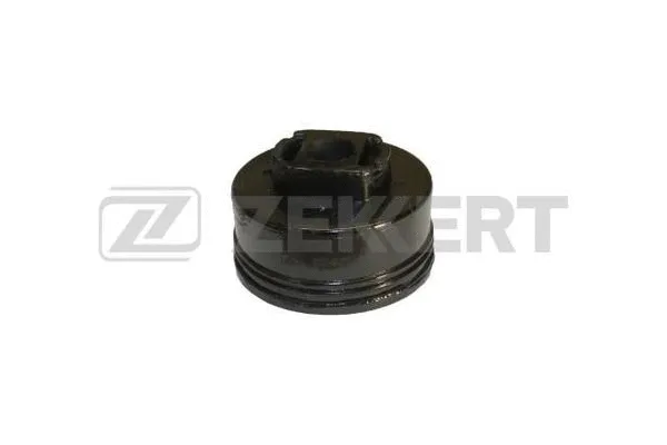Bushing, axle beam (GM-3671)