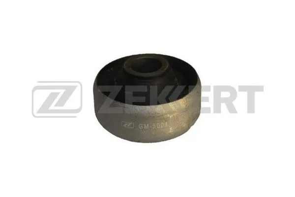 Mounting, control/trailing arm (GM-5001)