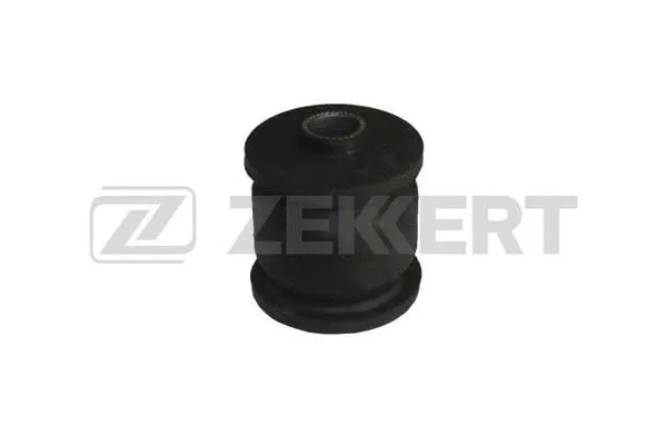 Mounting, control/trailing arm (GM-5976)