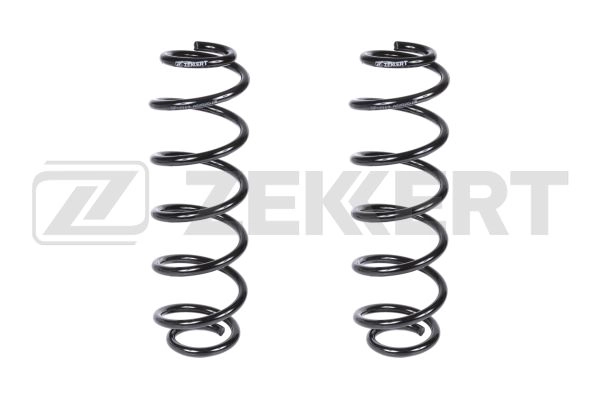 Suspension Spring (SF-2119)