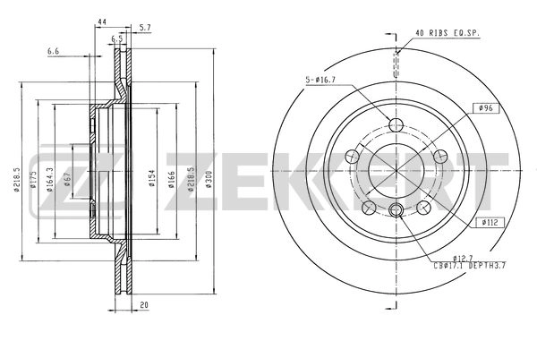 Brake Disc (BS-6598)