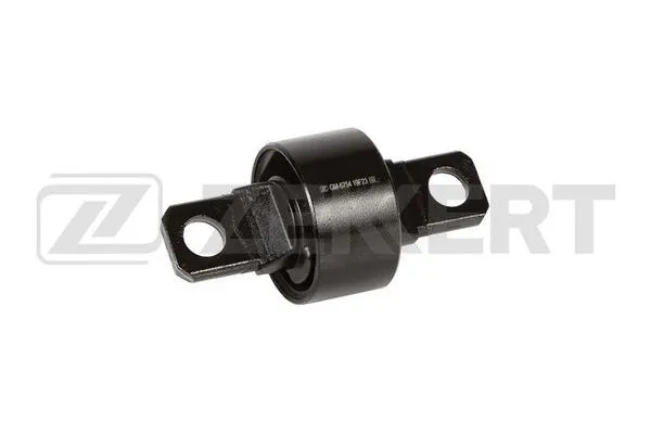 Mounting, control/trailing arm (GM-6754)