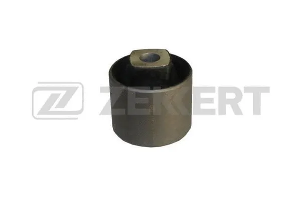 Mounting, control/trailing arm (GM-5575)
