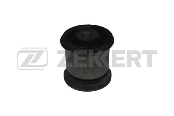 Mounting, control/trailing arm (GM-6028)