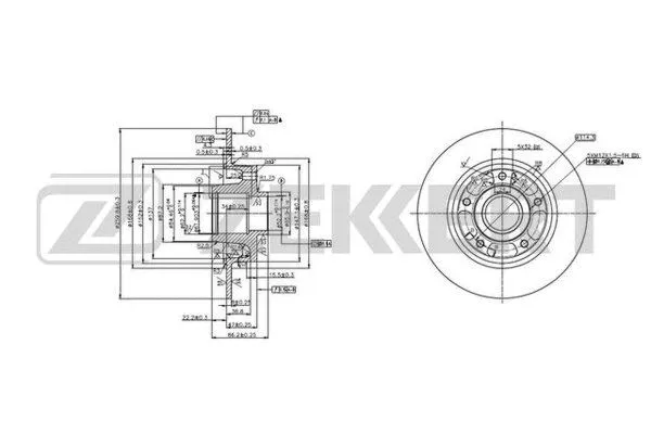 Brake Disc (BS-5878)
