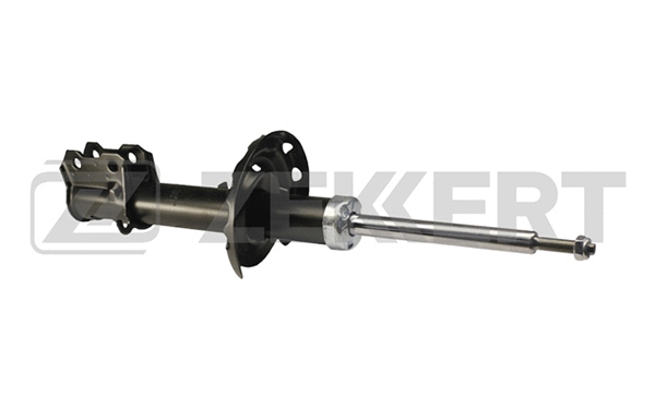 Shock Absorber (SG-4573)
