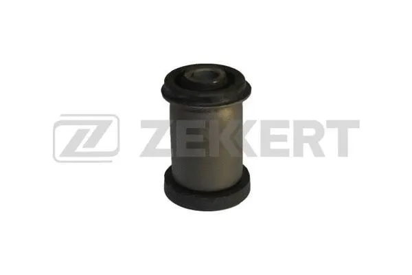 Mounting, control/trailing arm (GM-5869)