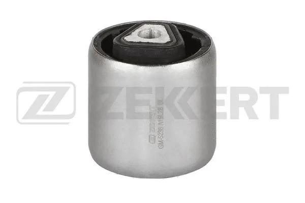 Mounting, control/trailing arm (GM-5236)