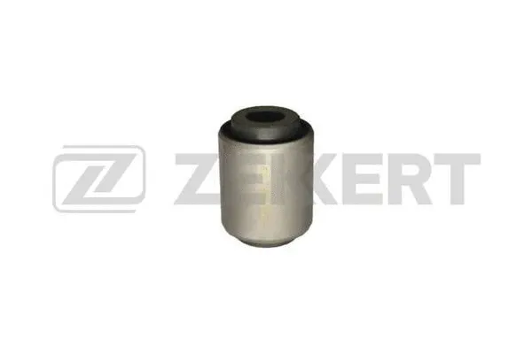 Mounting, control/trailing arm (GM-5953)