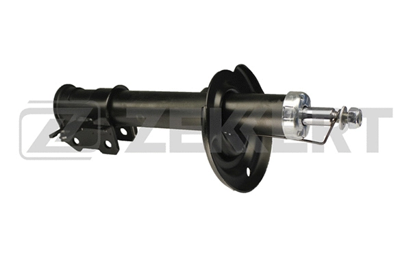 Shock Absorber (SG-4579)