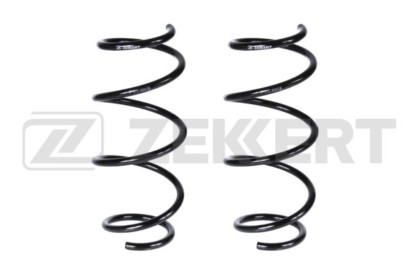 Suspension Spring (SF-2272)