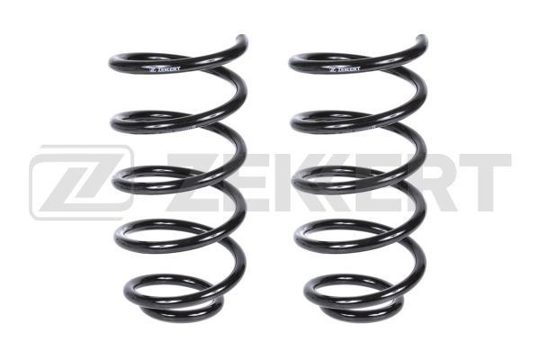 Suspension Spring (SF-2269)