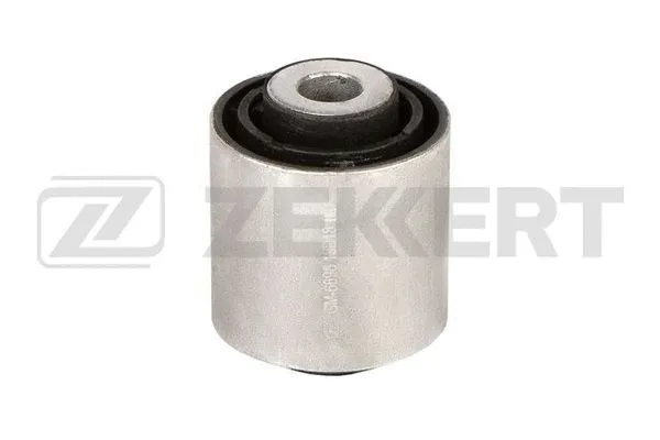 Mounting, control/trailing arm (GM-6698)