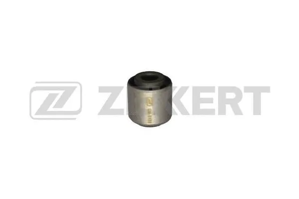 Mounting, control/trailing arm (GM-5186)