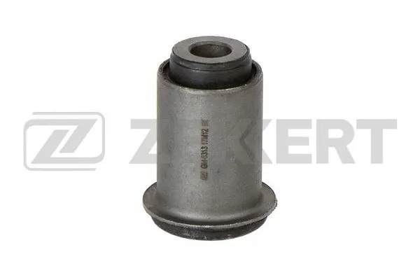 Mounting, control/trailing arm (GM-5313)