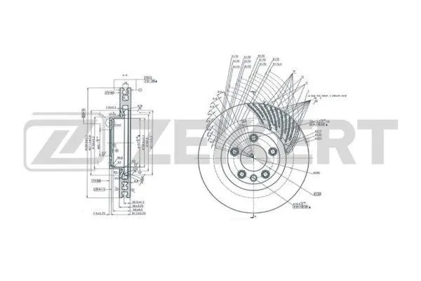 Brake Disc (BS-6163)