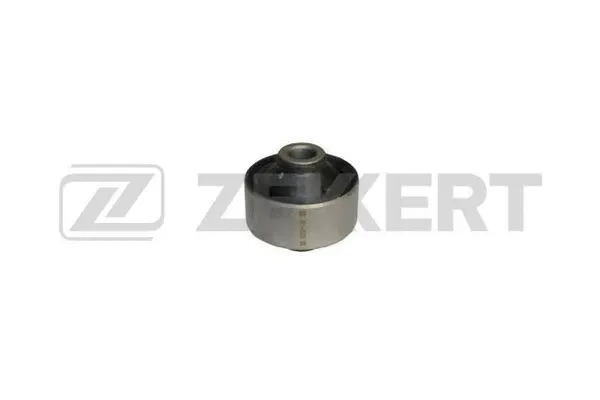 Mounting, control/trailing arm (GM-5280)