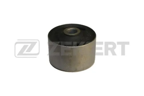 Bushing, axle beam (GM-5012)