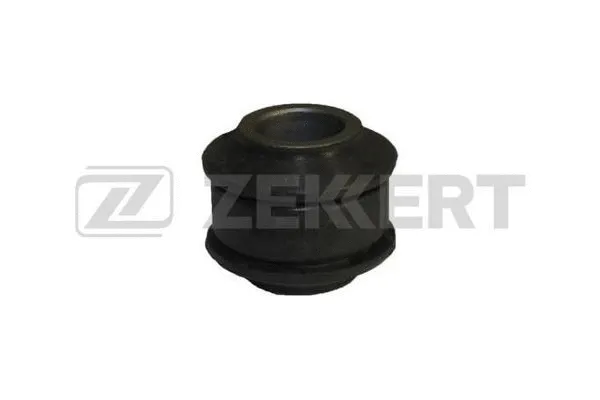 Mounting, control/trailing arm (GM-5496)
