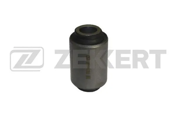 Mounting, control/trailing arm (GM-5722)