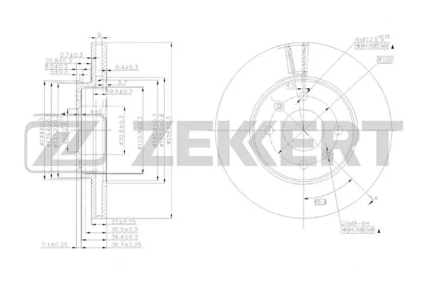Brake Disc (BS-5276)
