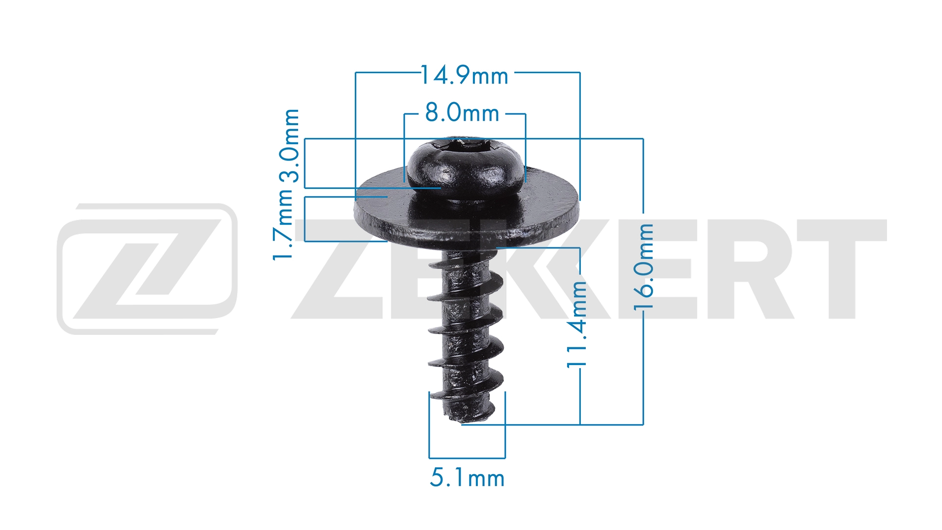 Clip, trim/protection strip (BE-3665)