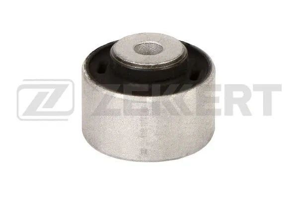 Mounting, control/trailing arm (GM-5048)
