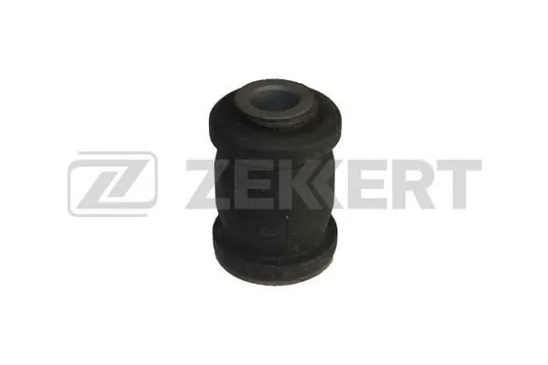 Mounting, control/trailing arm (GM-5254)
