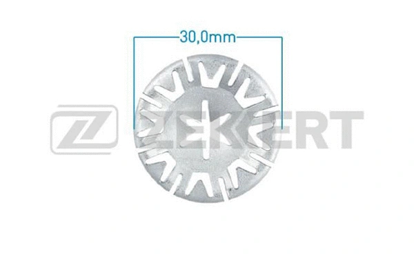 Clip, trim/protection strip (BE-2529)