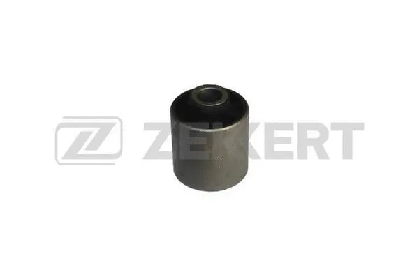 Mounting, control/trailing arm (GM-5593)
