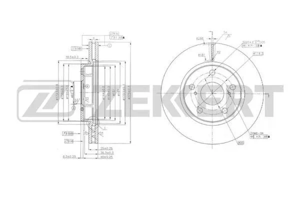 Brake Disc (BS-6173)