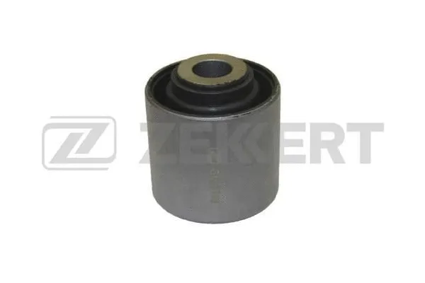 Mounting, control/trailing arm (GM-5746)