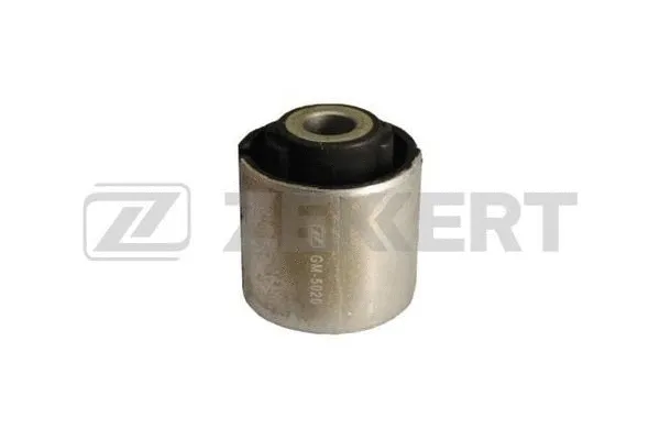Mounting, control/trailing arm (GM-5020)